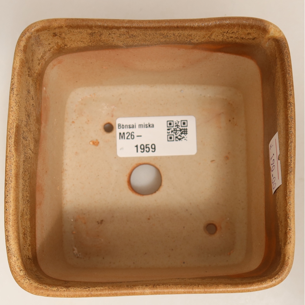 Keramische bonsaipot 10 x 10 x 8,5 cm, kleur: beige
