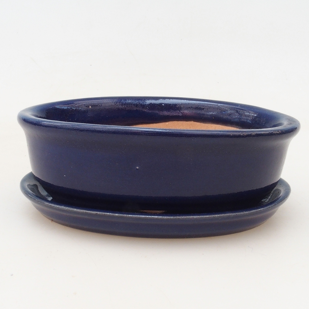 Bonsai kom + schotel H04 - blauw