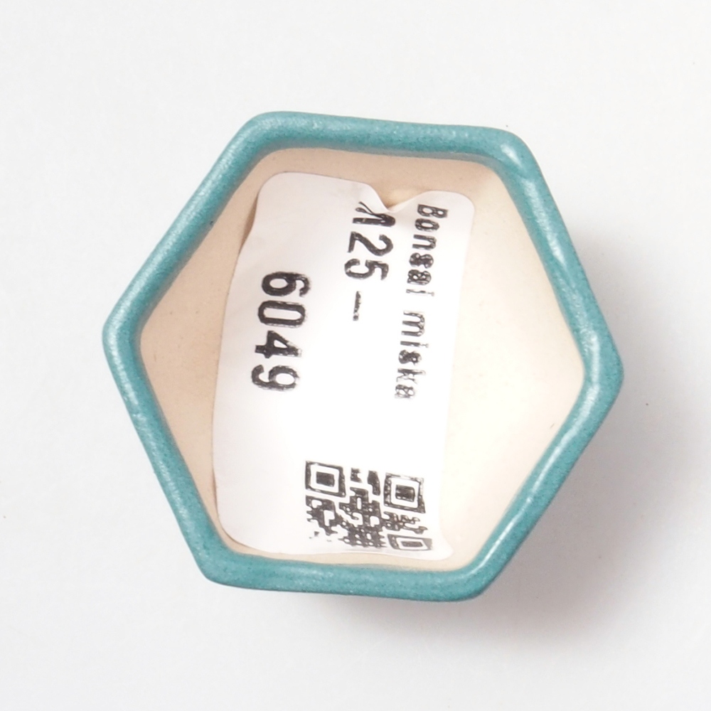 Bonsaischaal van keramiek 6,5 x 5,5 x 4 cm, kleur blauw