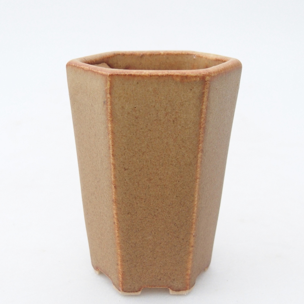 Mini bonsaischaal 5 x 4,5 x 6,5 cm, bruin