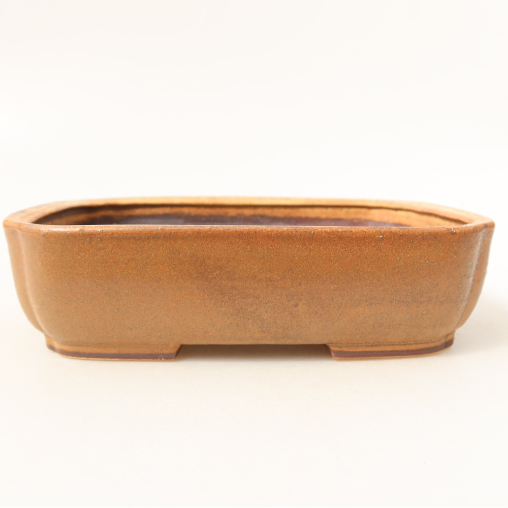 Keramische bonsaipot 18 x 15 x 6 cm, kleur: roze
