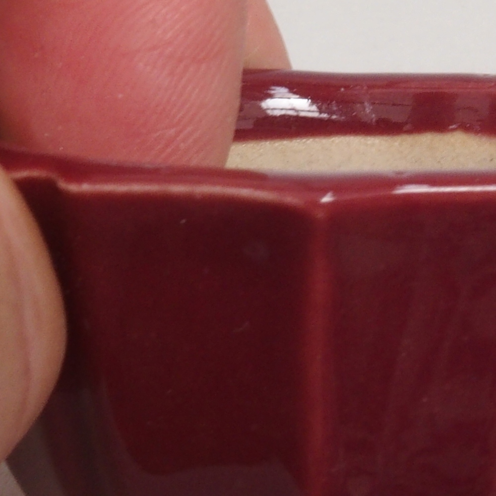 Mini bonsaischaal 5 x 5 x 3 cm, bordeauxrood