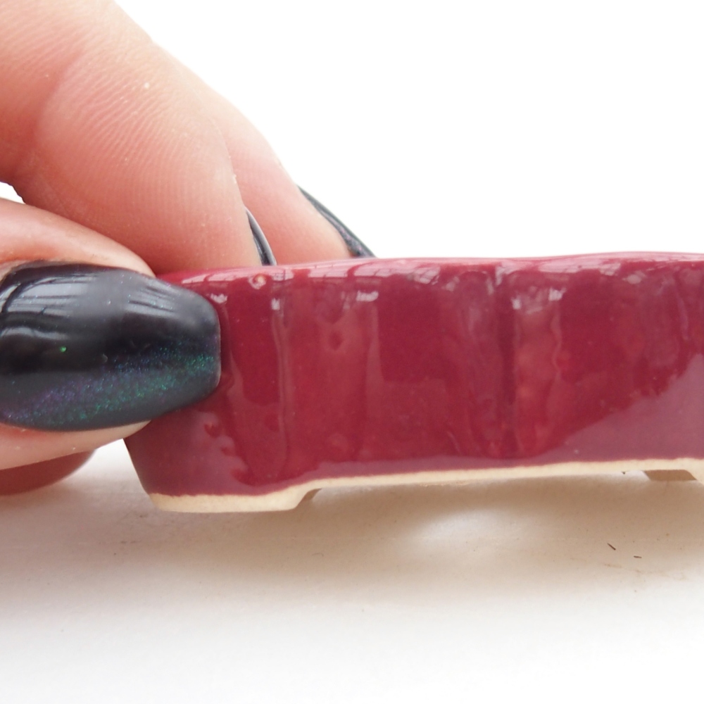 Mini bonsaischaal 5,5 x 3,5 x 1,5 cm, bordeauxrood