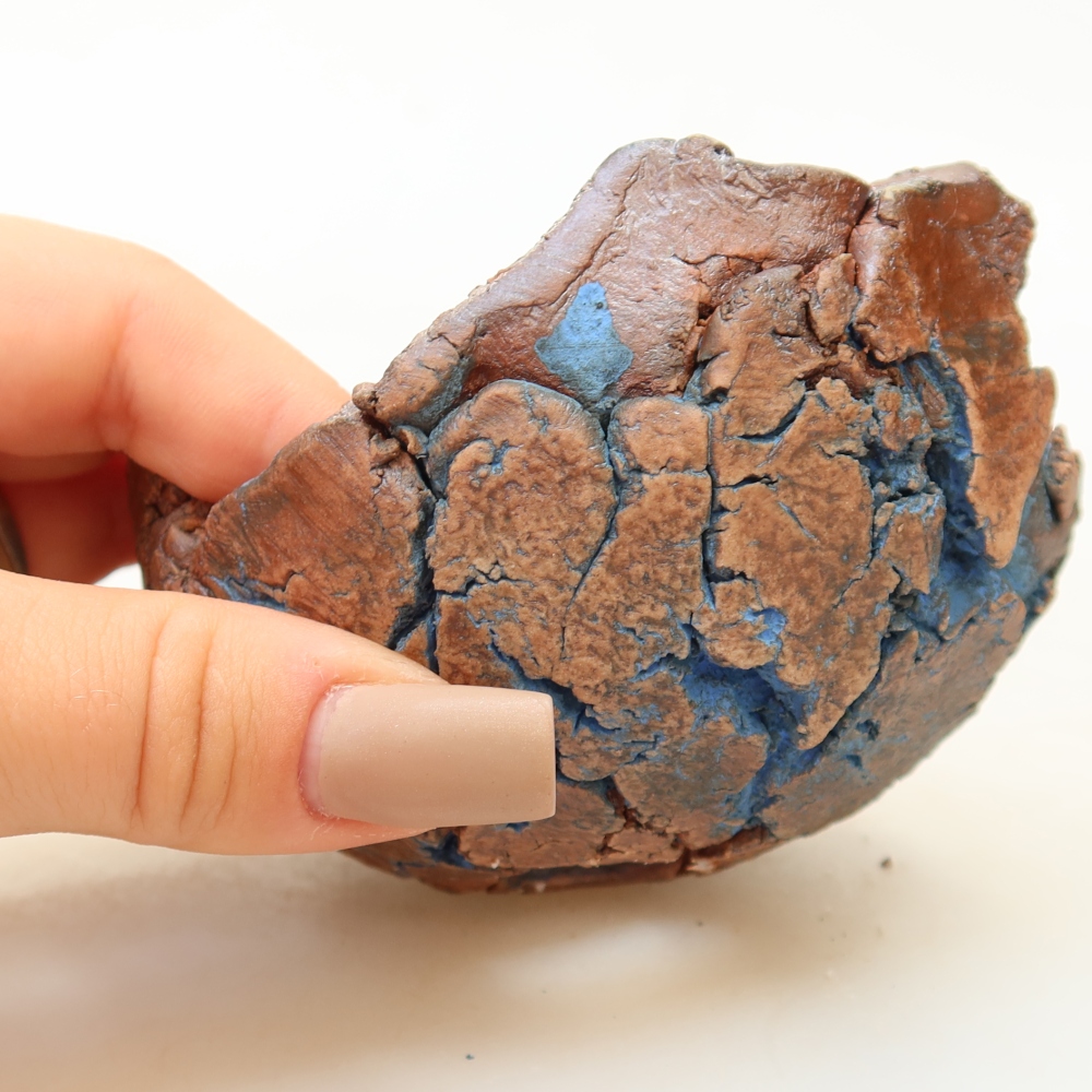 Keramisch Schelp 9 x 9 x 5,5 cm , kleur blauw