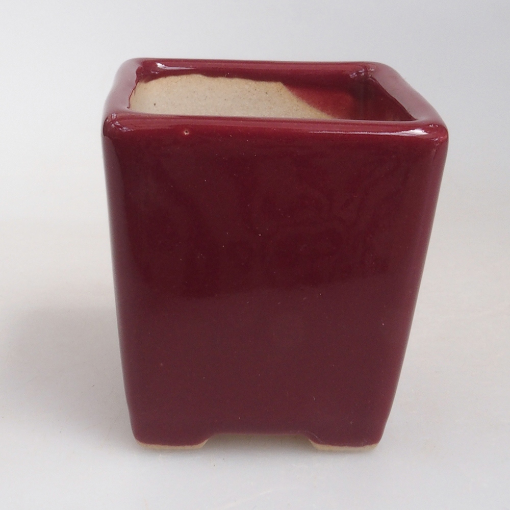 Mini bonsaischaal 4,5 x 4,5 x 4,5 cm, bordeauxrood