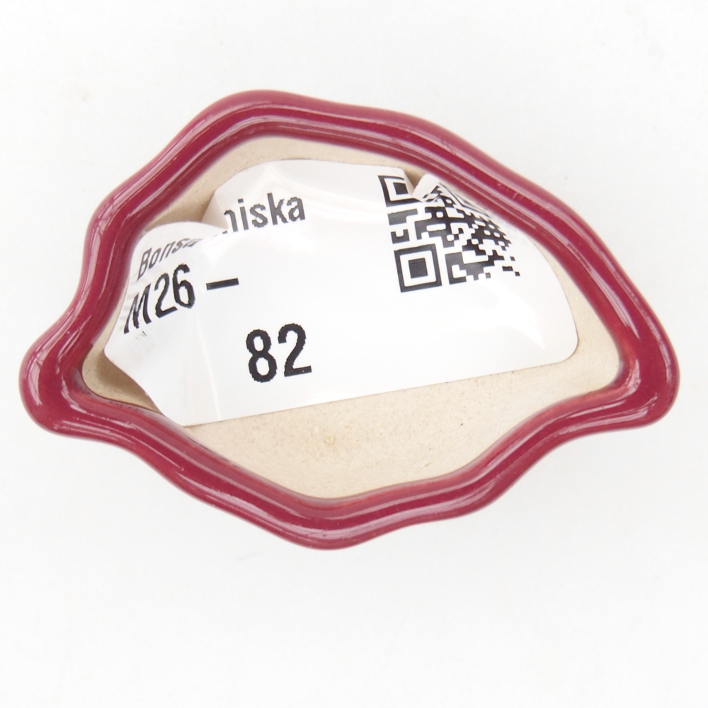 Mini bonsaischaal 5 x 3 x 2 cm, bordeauxrood