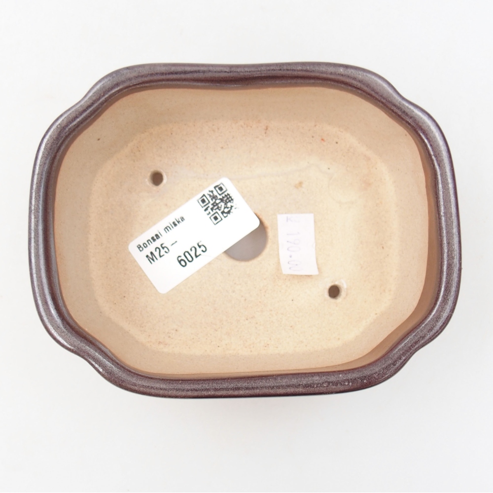 Bonsaischaal van keramiek 22 x 17 x 5 cm, groen