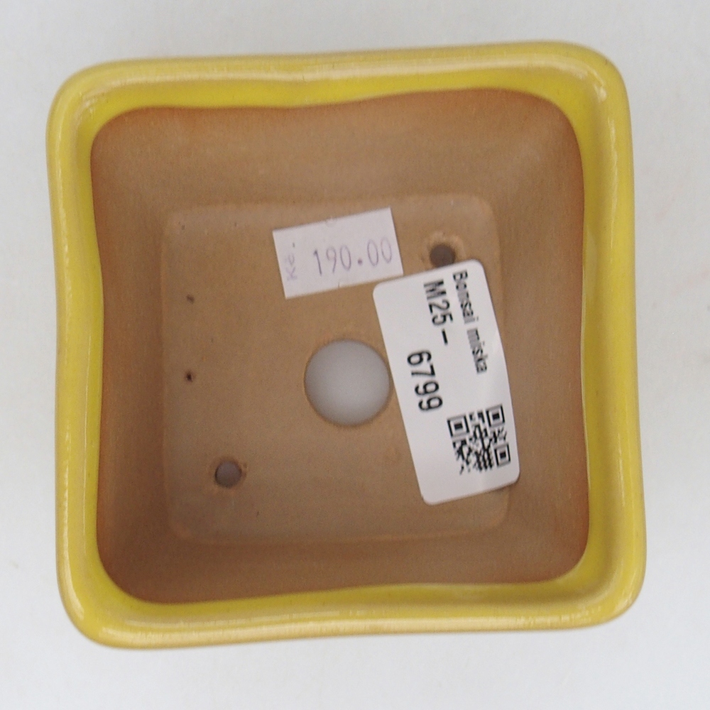 Bonsaischaal van keramiek 8,5 x 8,5 x 6 cm, geel