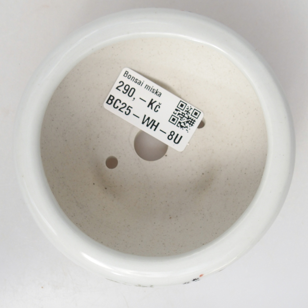 Bonsaischaal van keramiek 10 x 10 x 5 cm, kleur wit
