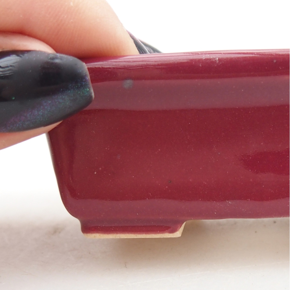 Mini bonsaischaal 6,5 x 4 x 2,5 cm, bordeauxrood