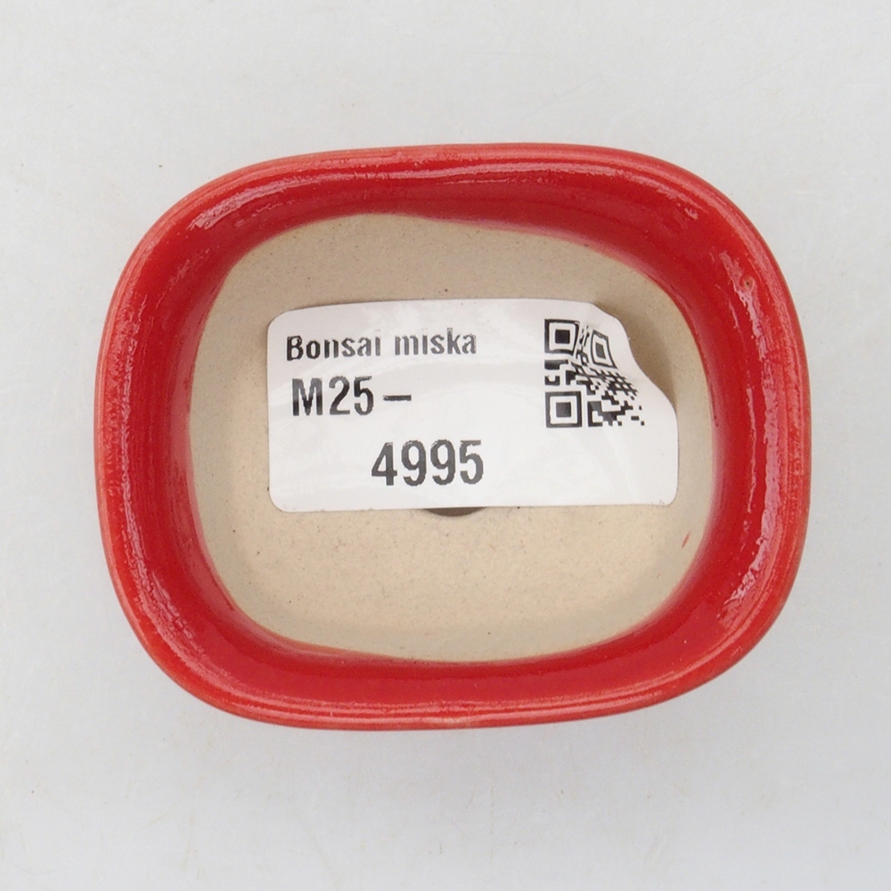 Mini bonsaischaal 5,5 x 4,5 x 3 cm, kleur rood