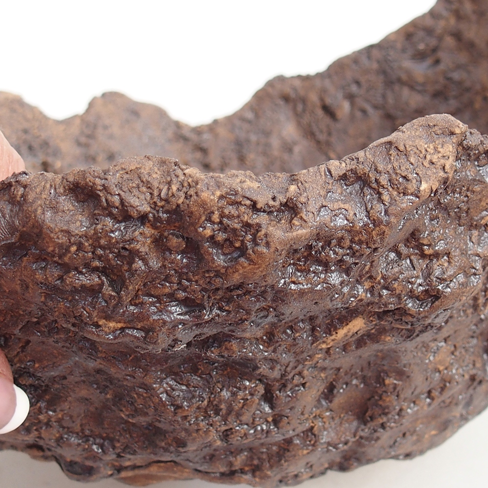 Keramisch Schelp 22 x 20 x 17,5 cm , kleur bruin