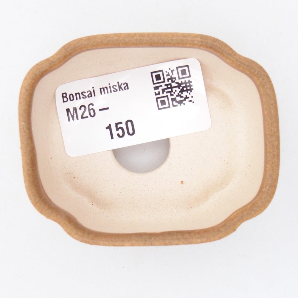 Mini bonsaischaal 6 x 5 x 3 cm, bruin