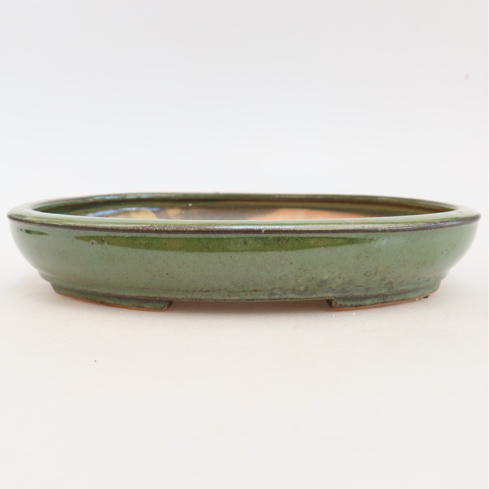 Bonsaischaal van keramiek 24,5 x 20 x 4 cm, groen