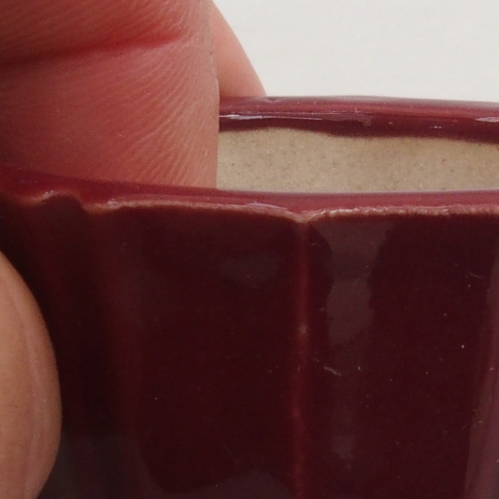 Mini bonsaischaal 5 x 5 x 3 cm, bordeauxrood