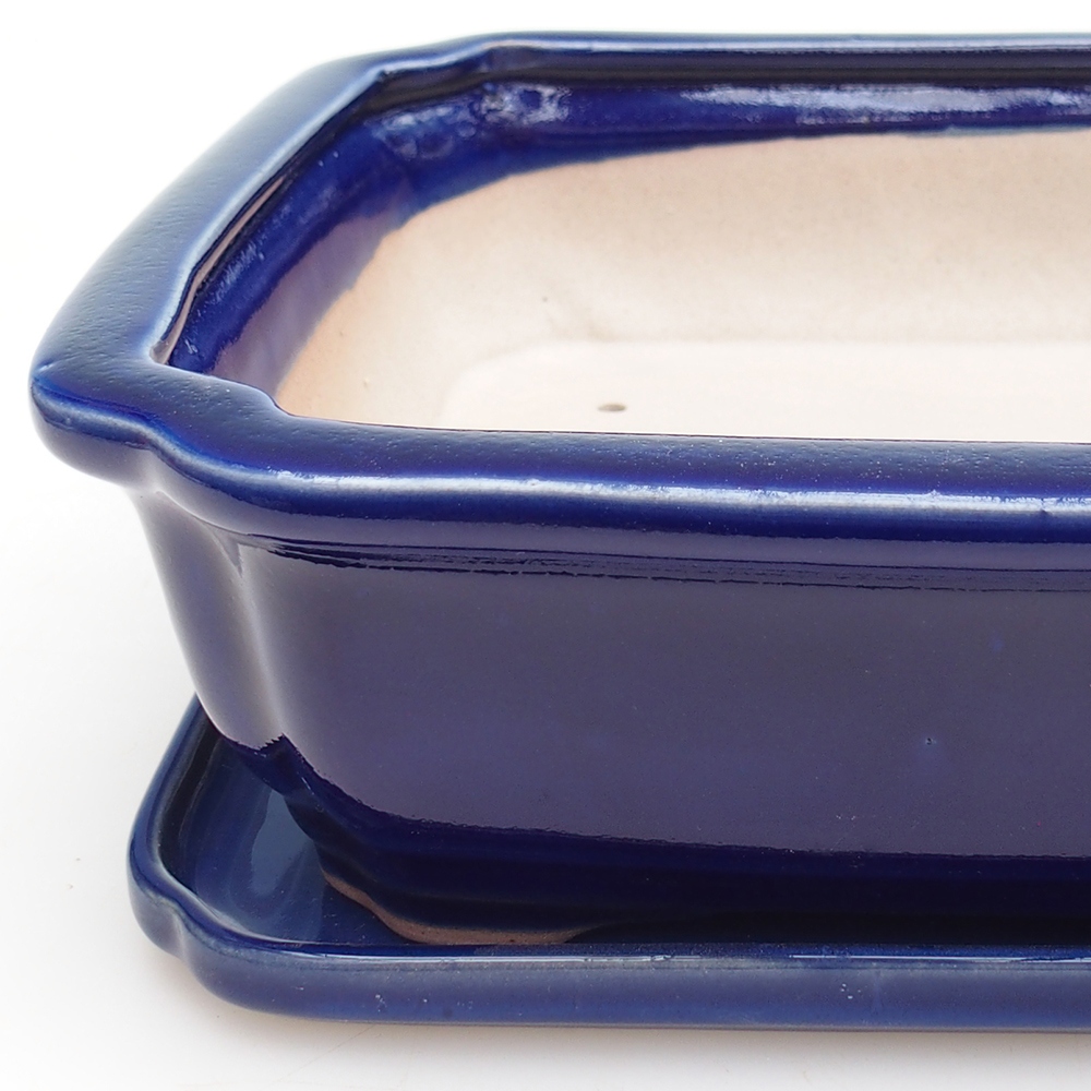 Bonsaischaal + schotel H07 - 30 x 20,5 x 8 cm.