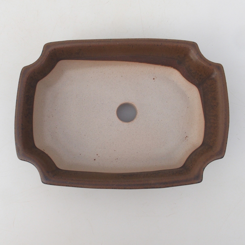 Bonsaischaal H17 - 15 x 10 x 4 cm - bruin