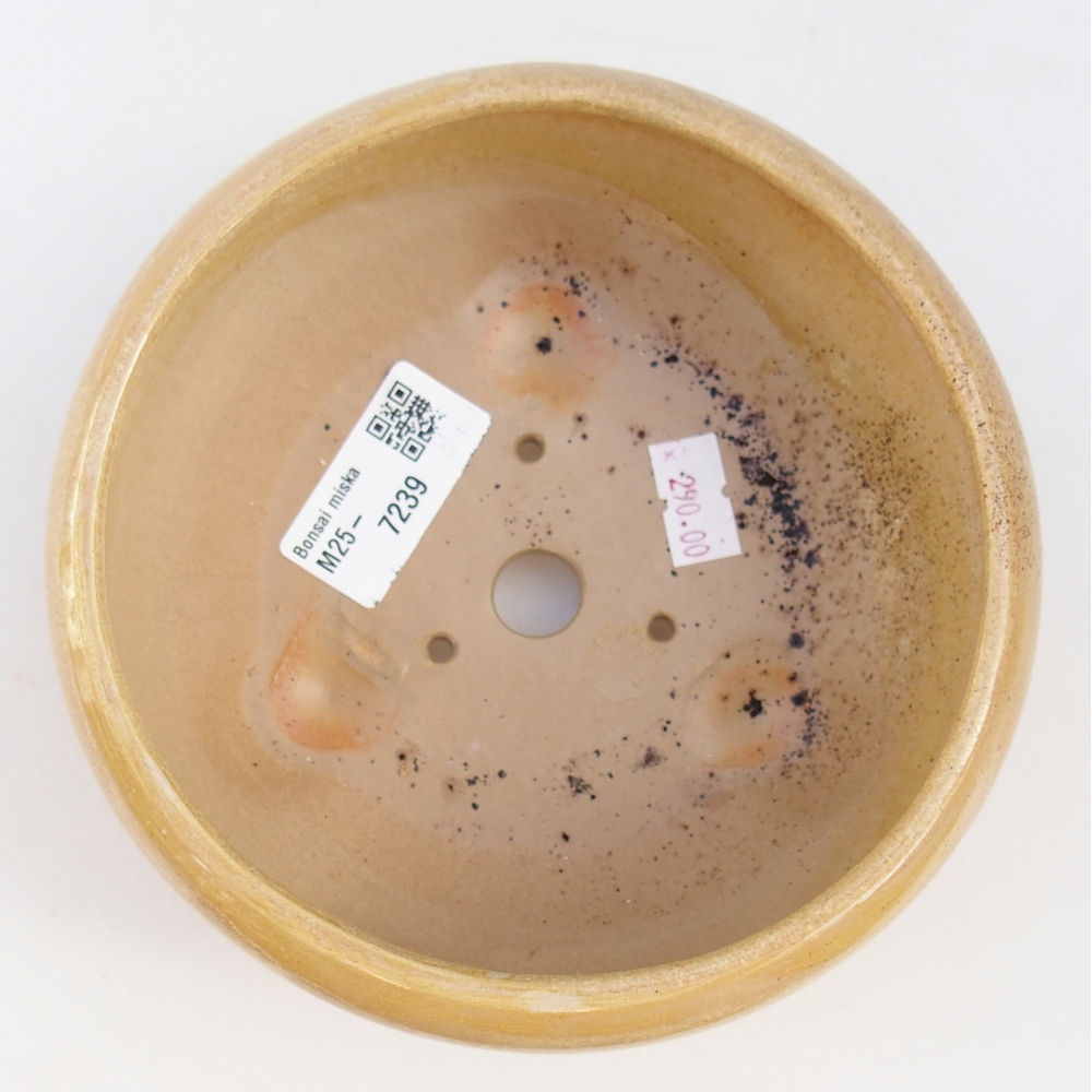 Bonsaischaal van keramiek 26 x 26 x 8 cm, kleur rood