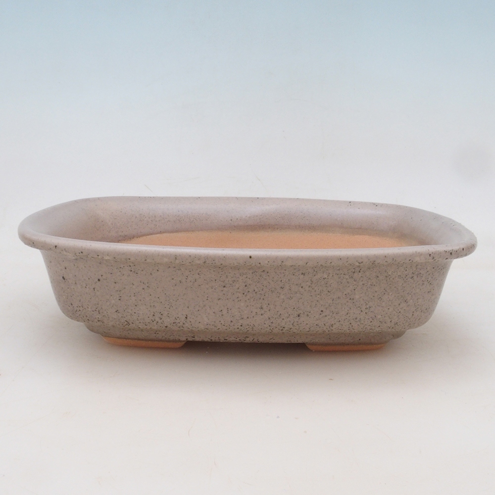 Bonsai kom + schotel H02 - beige