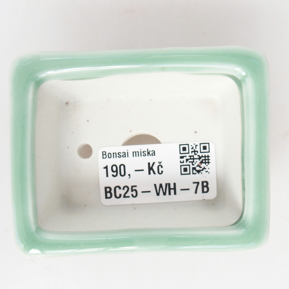 Mini bonsaischaal 8 x 6 x 3 cm, groen