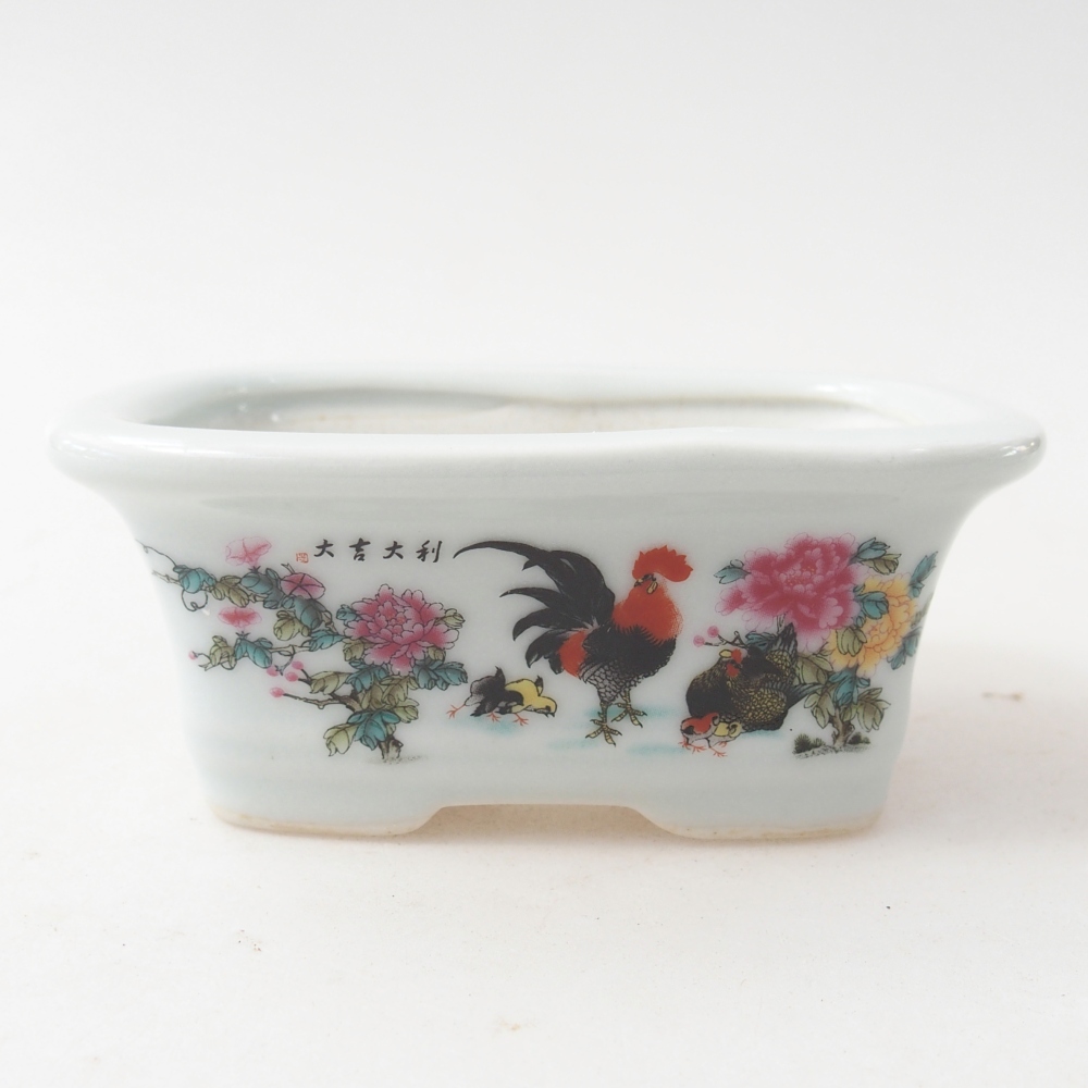 Mini bonsaischaal 10 x 7,5 x 4 cm, kleur wit