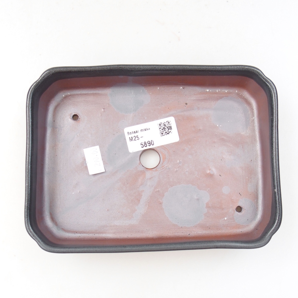 Bonsaischaal van keramiek 22 x 17 x 5 cm, groen