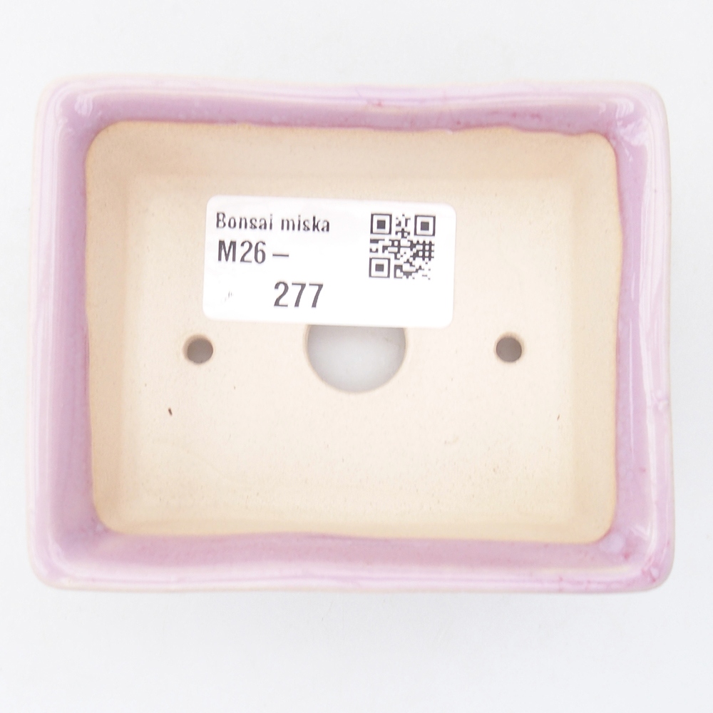 Mini bonsaischaal 9 x 7 x 3,5 cm, roze
