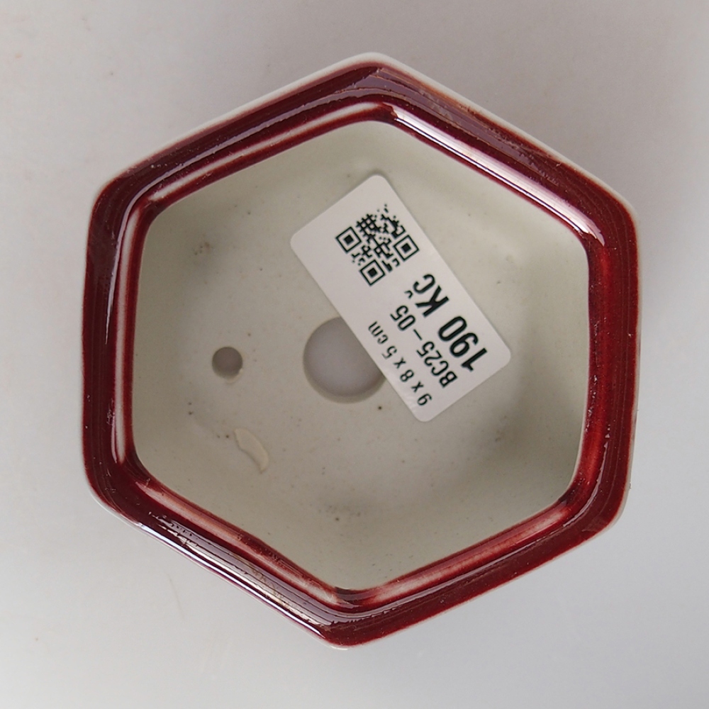 Bonsaischaal van keramiek 9 x 8 x 5 cm, kleur rood