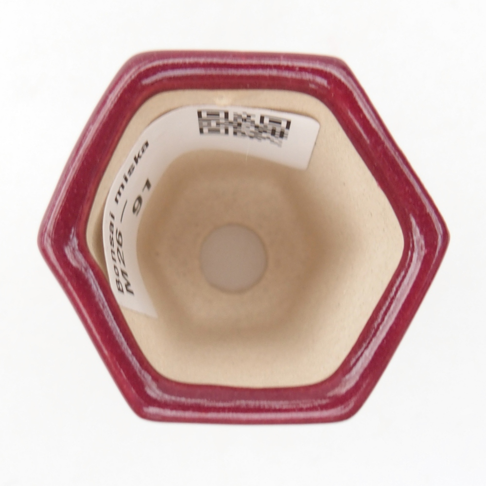 Mini bonsaischaal 4 x 3,5 x 5,5 cm, bordeauxrood