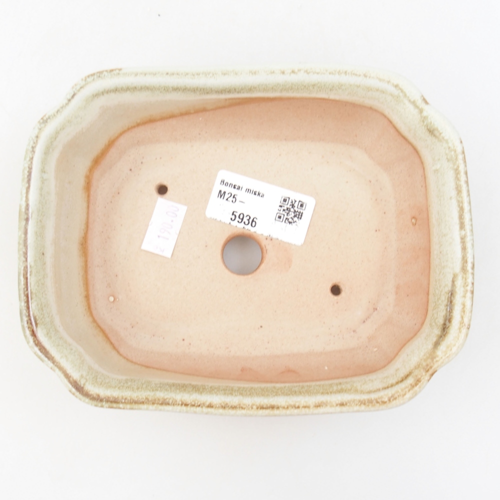 Bonsaischaal van keramiek 22 x 17 x 5 cm, groen