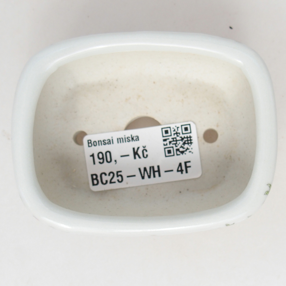 Mini bonsaischaal 8 x 6 x 3 cm, wit