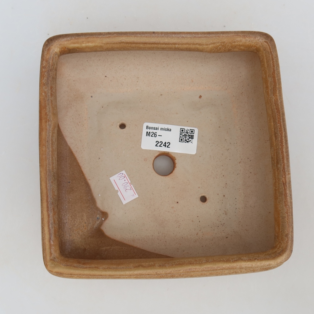 Keramische bonsaipot 15,5 x 15,5 x 6 cm, kleur: beige