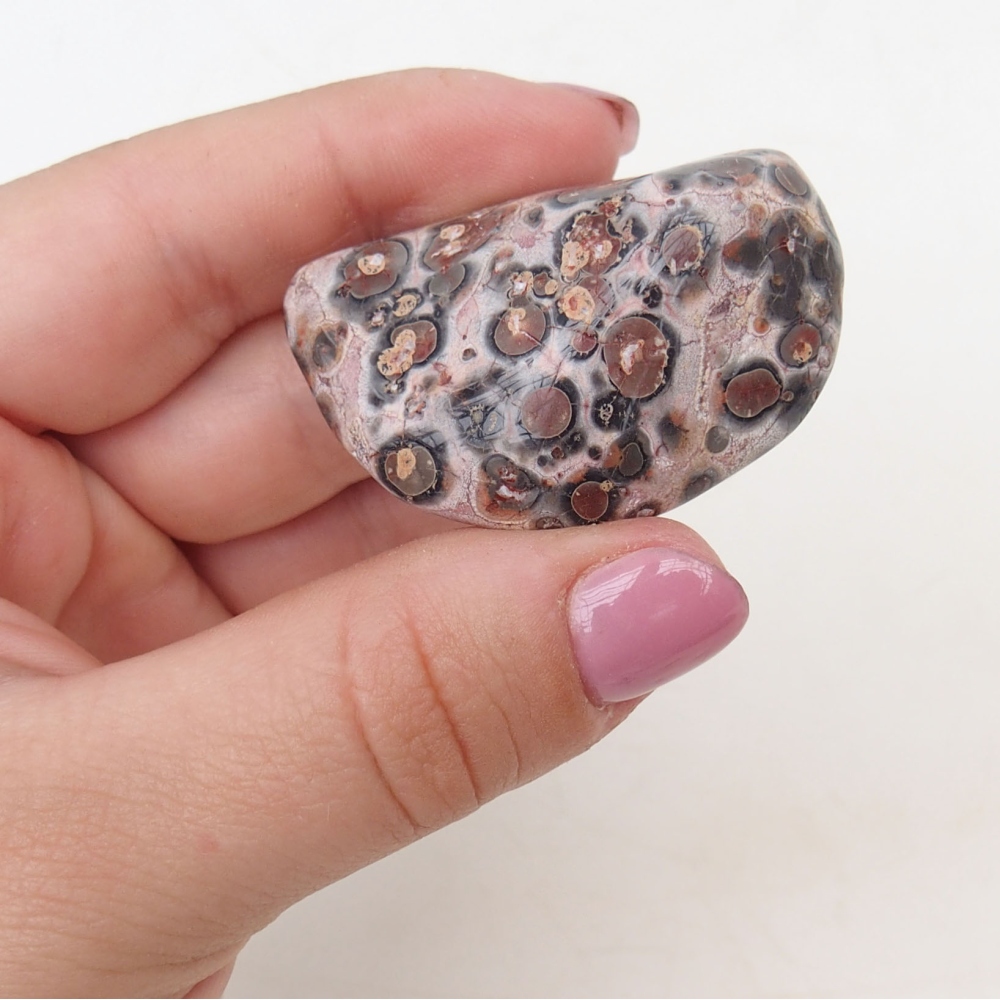 Suiseki - Steen met DAI (houten basis)