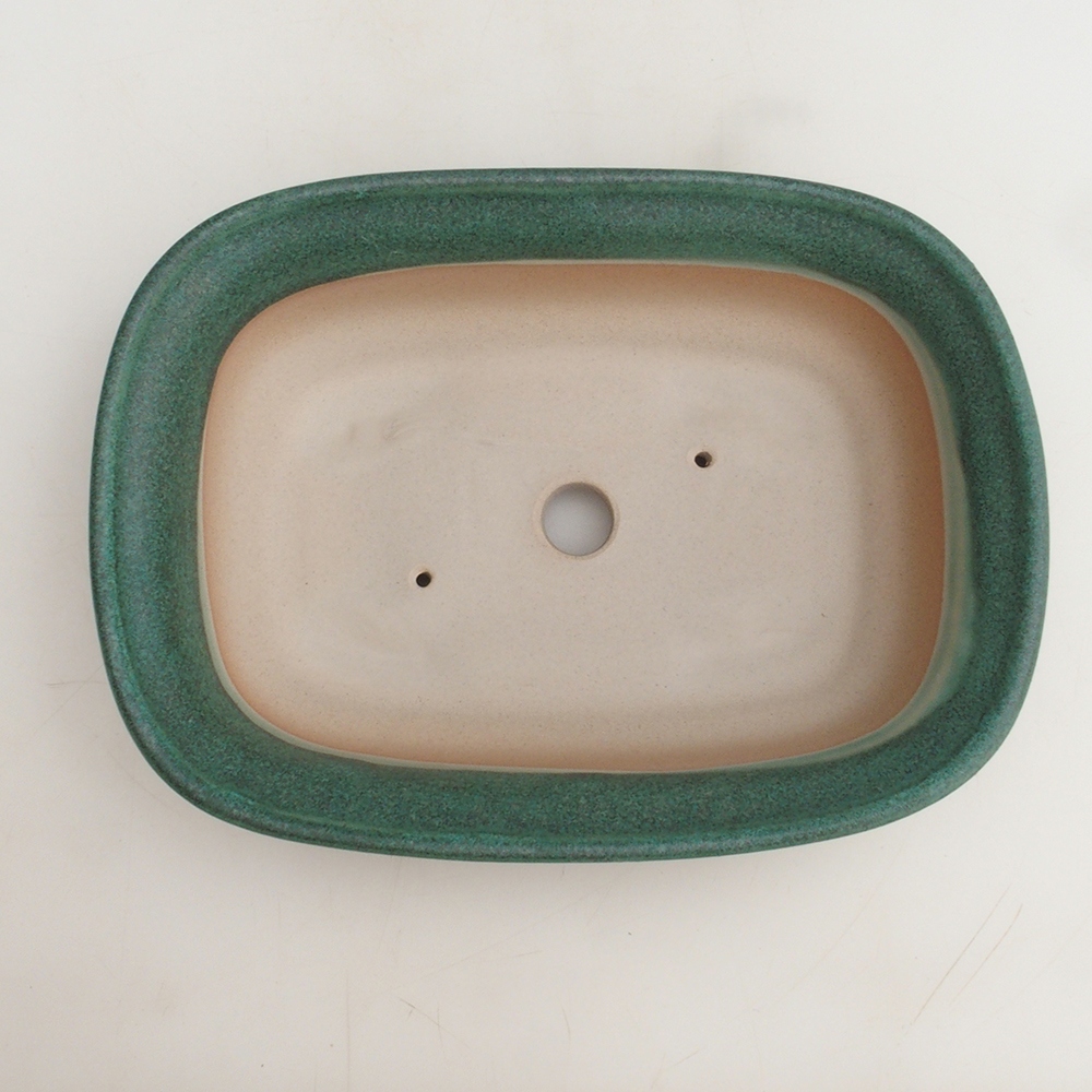 Bonsaischaal H25 - 23 x 17 x 5,5 cm - groen