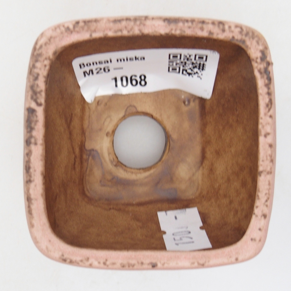 Bonsaischaaltje van keramiek 6 x 6 x 4 cm, roze