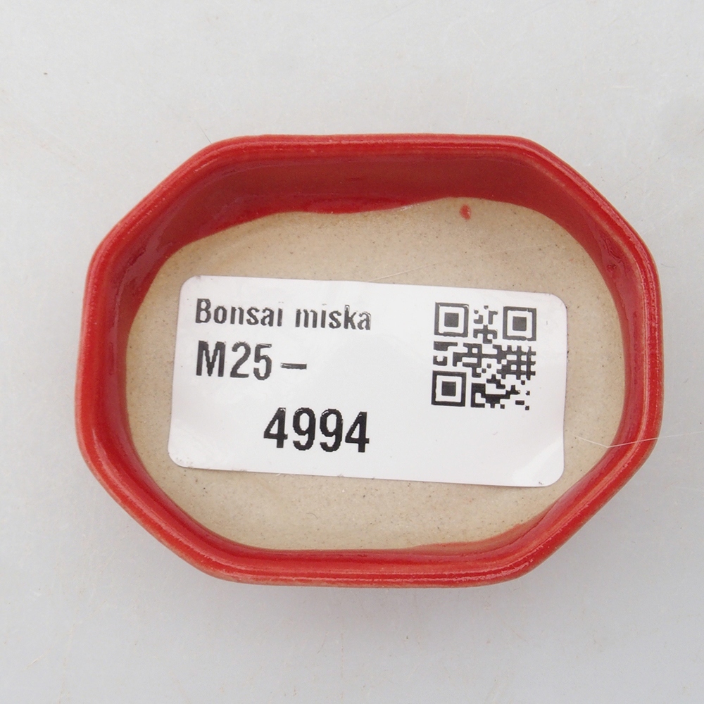 Mini bonsaischaal 5,5 x 4 x 1,5 cm, kleur rood