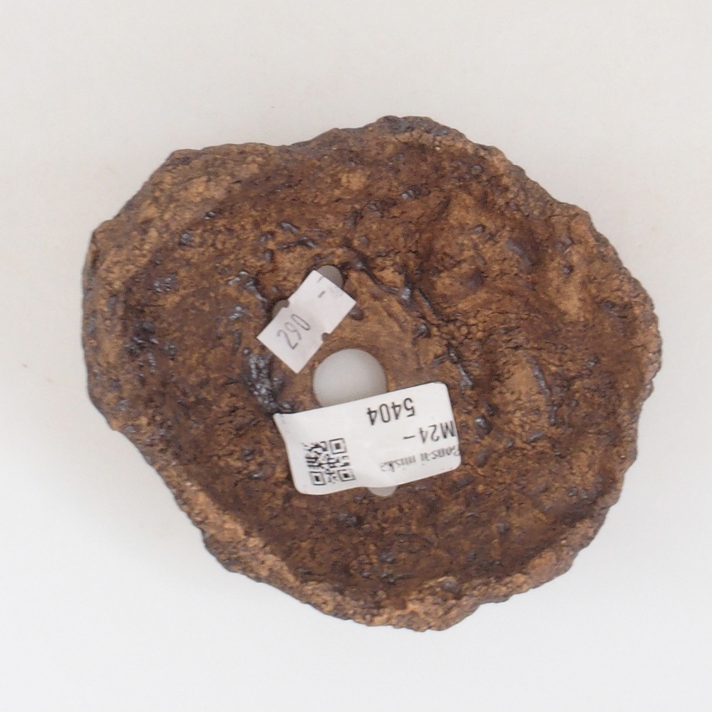 Schelp van keramiek 10 x 8 x 10 cm , kleur bruin