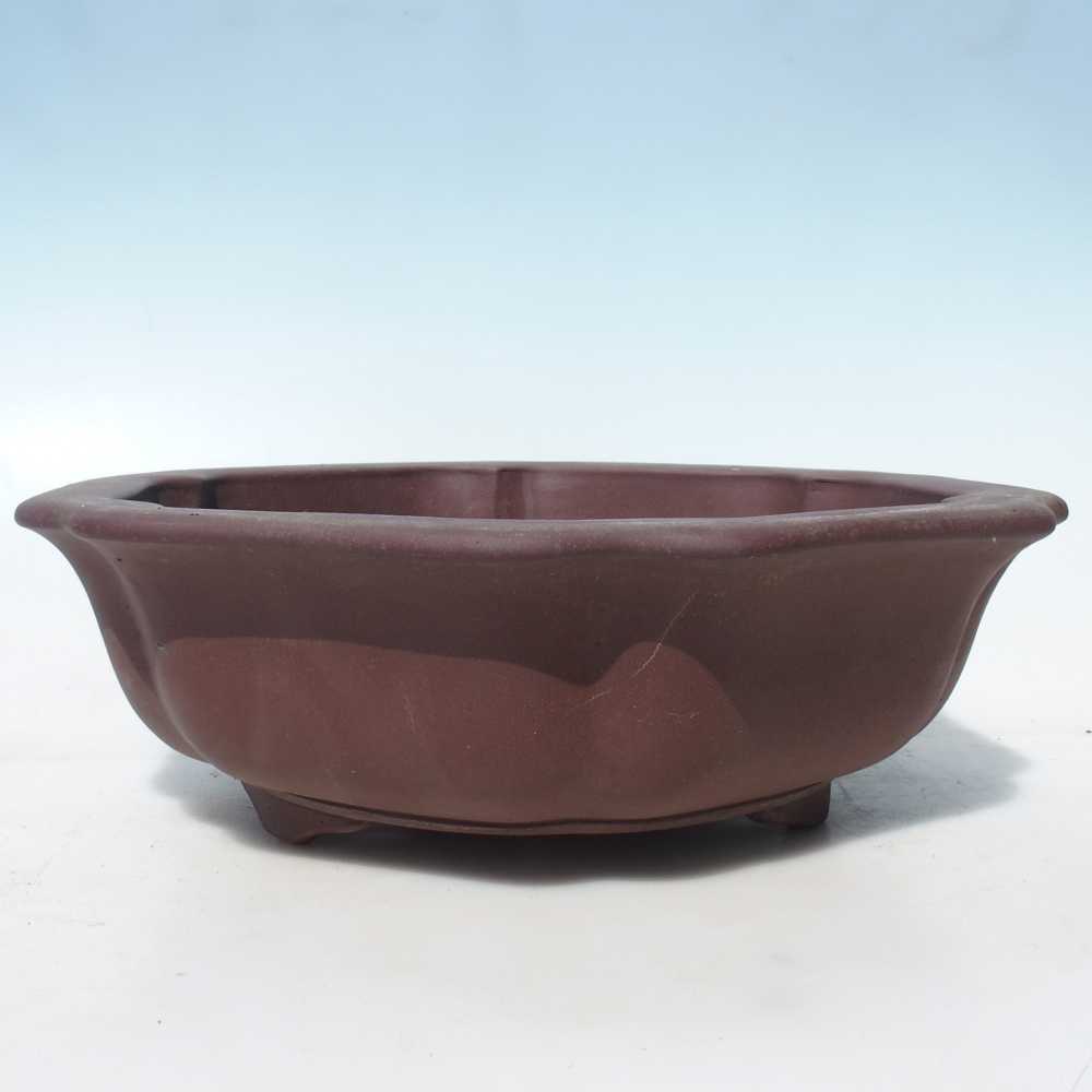 Bonsaischaal 39,5 x 37,5 x 12 cm - bruin