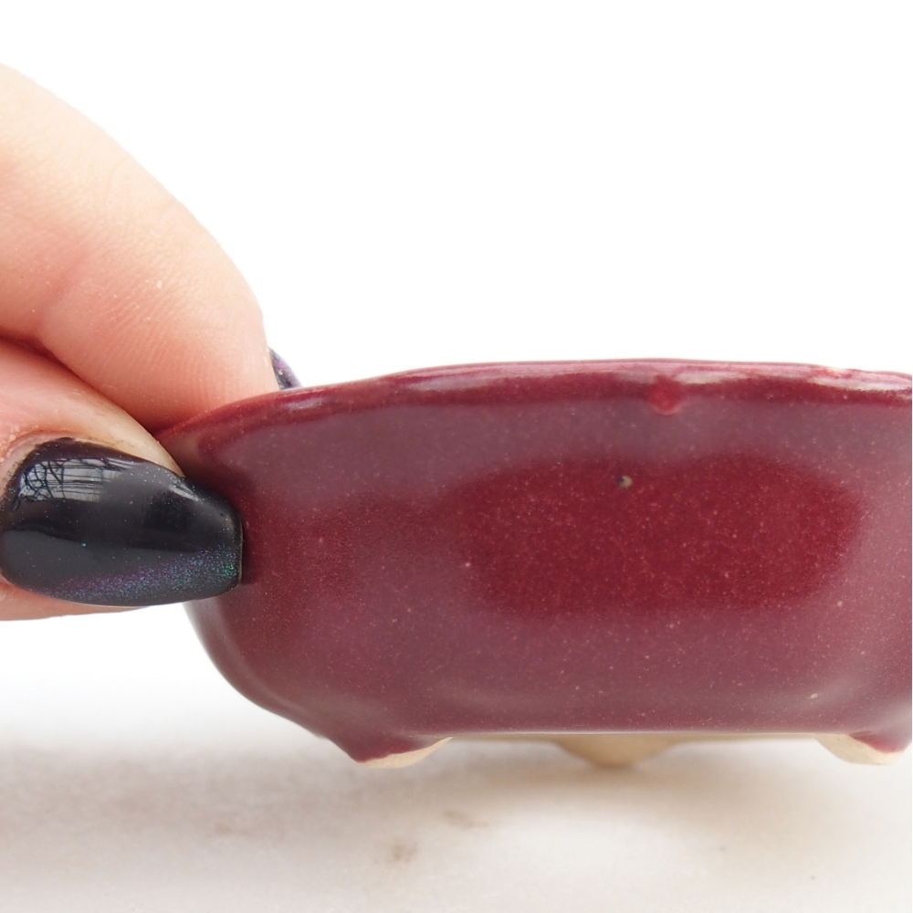 Mini bonsaischaal 7,5 x 7,5 x 2,5 cm, bordeauxrood