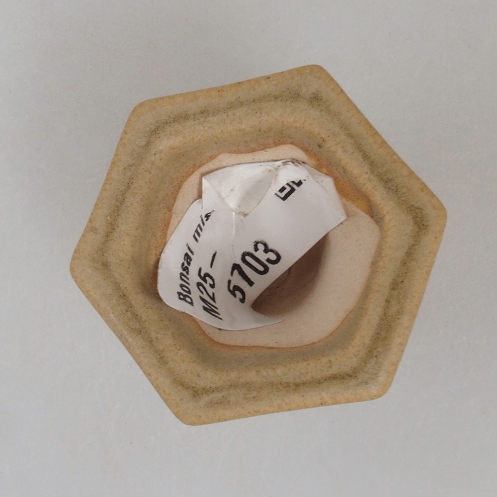 Mini bonsaischaal 4 x 3,5 x 3 cm, bruin