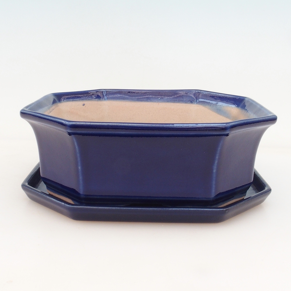 Bonsai kom + schotel H14 - blauw