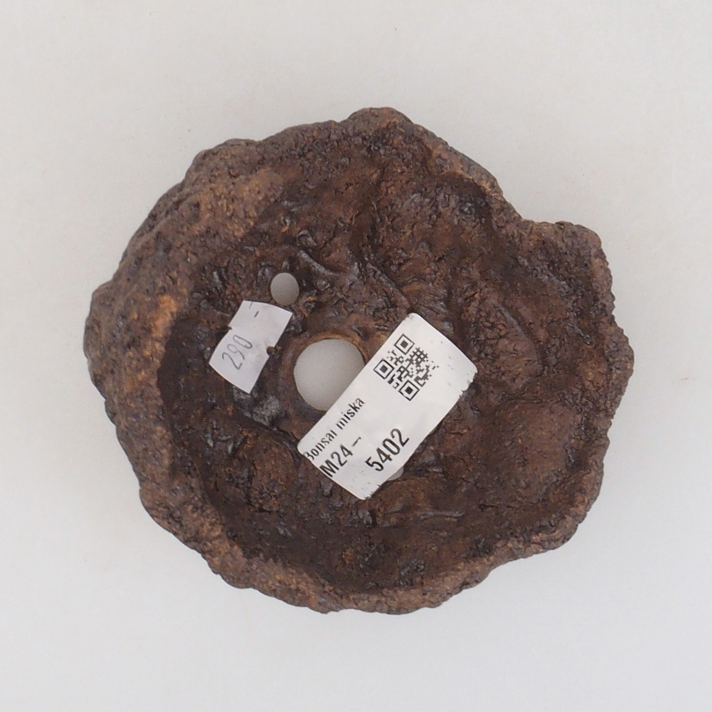 Keramisch Schelp 9 x 8 x 9,5 cm , kleur bruin