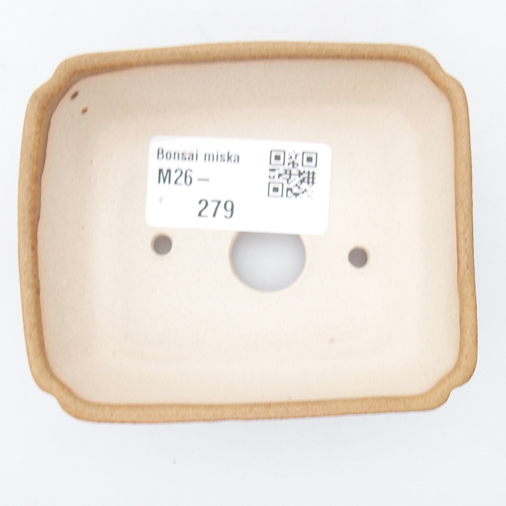 Mini bonsaischaal 8,5 x 7,5 x 3 cm, bruin
