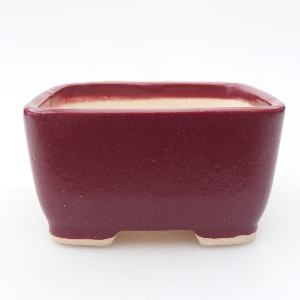 Mini bonsaischaal 7 x 7 x 4 cm, bordeauxrood