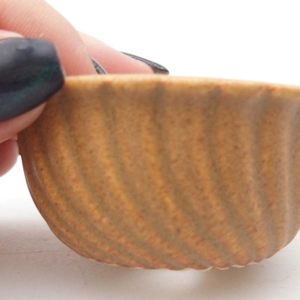 Mini bonsaischaal 5,5 x 5,5 x 3 cm, bruin