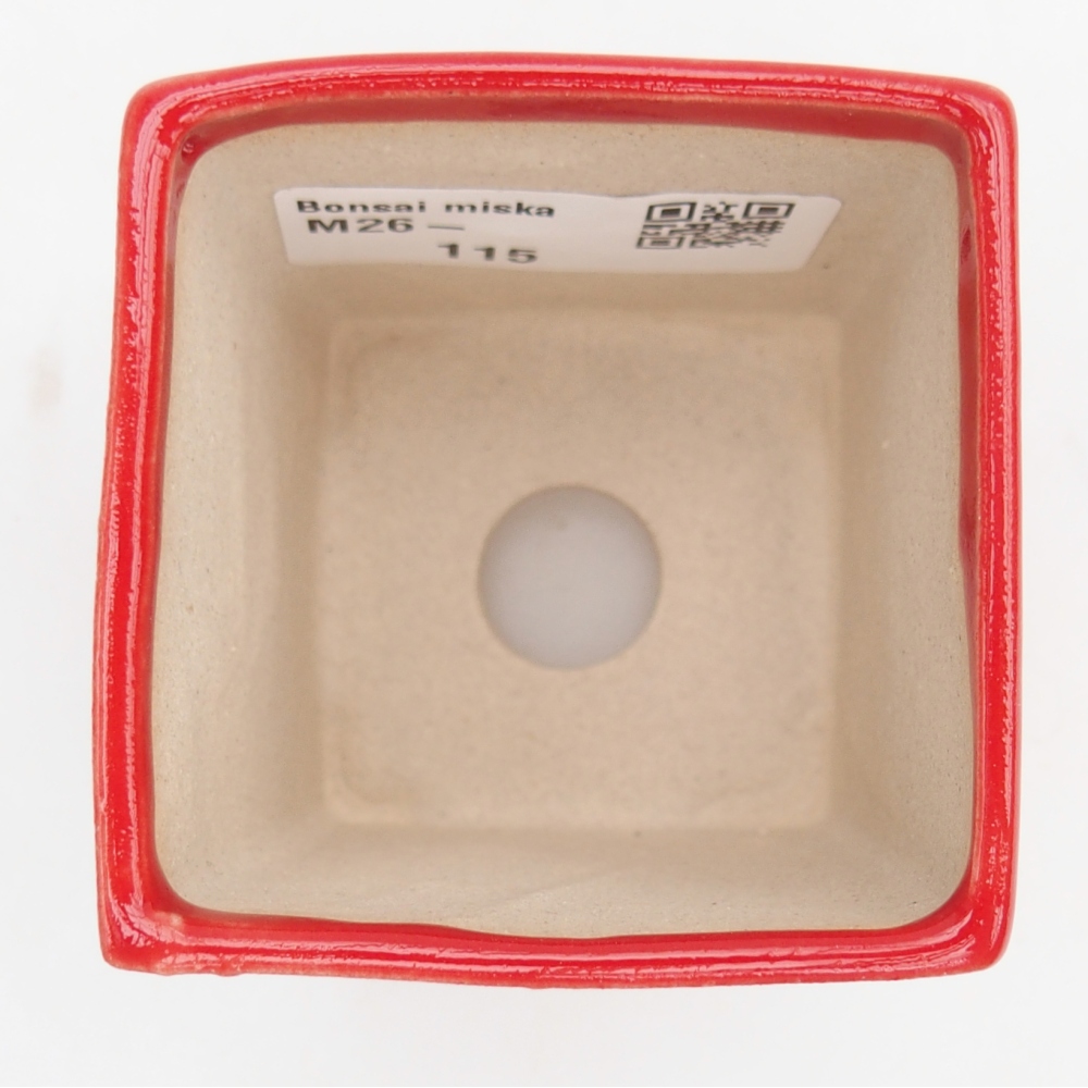 Mini bonsaischaal 5,5 x 5,5 x 6,5 cm, kleur rood