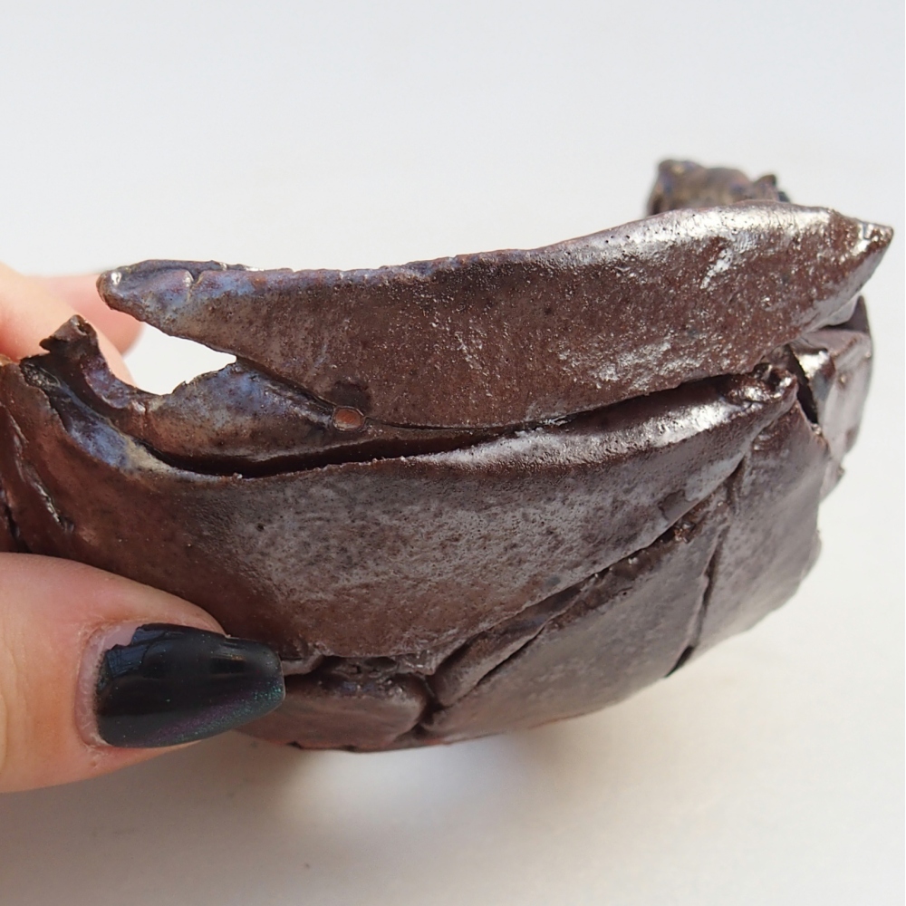 Schelp van keramiek 10 x 10 x 6 cm , kleur bruin