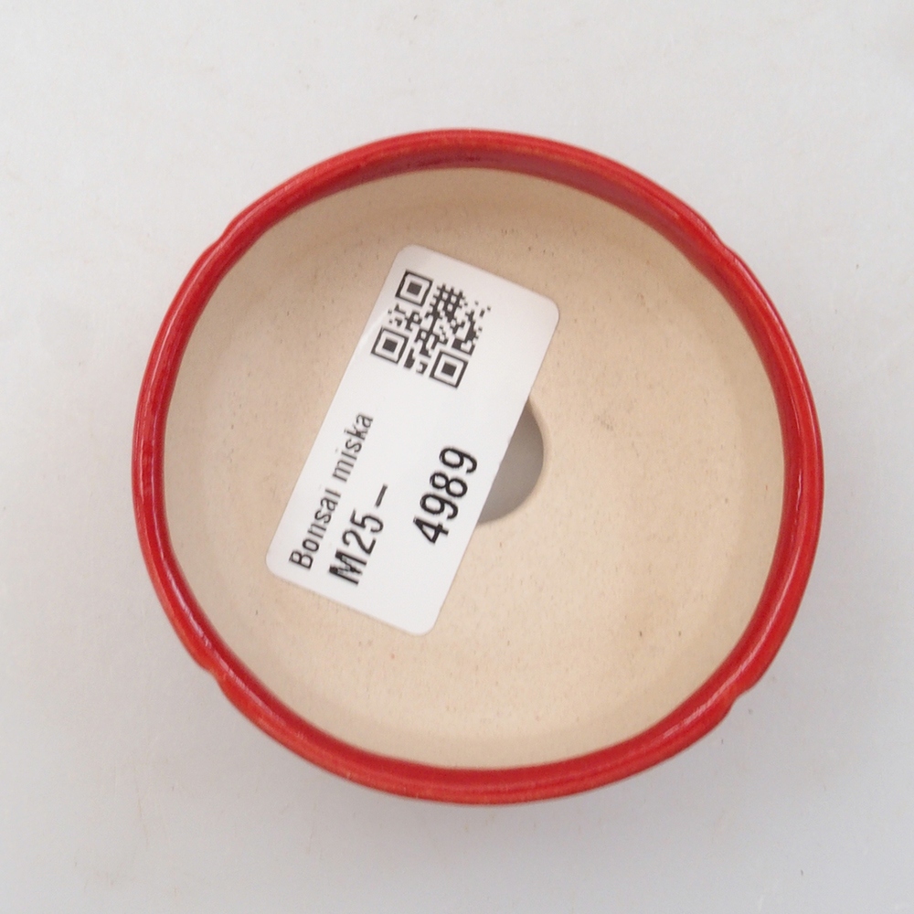 Mini bonsaischaal 6,5 x 6,5 x 2,5 cm, kleur rood