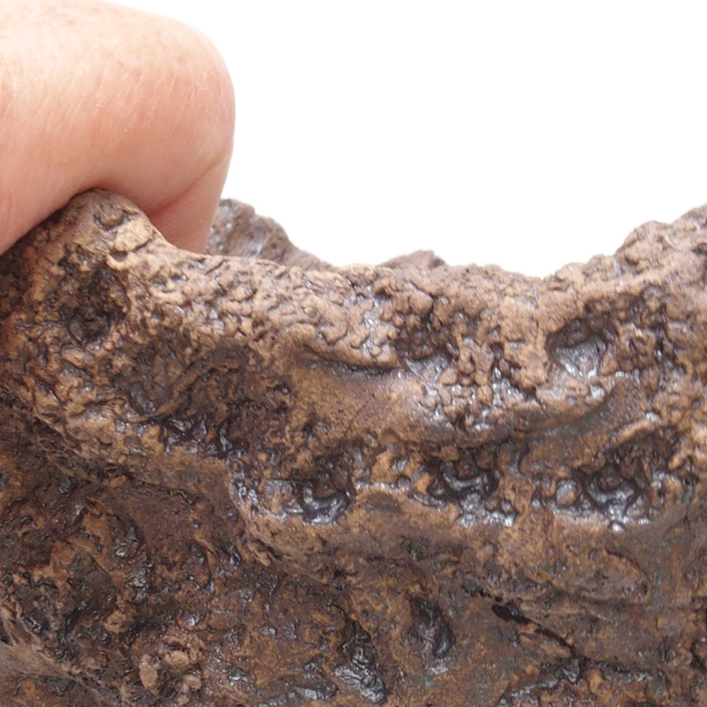 Keramisch Schelp 17,5 x 16 x 17,5 cm , kleur bruin