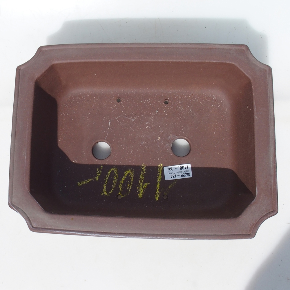 Bonsaischaal 35,5 x 36,5 x 11 cm berken bruin